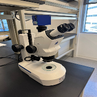 Zeiss Stemi 508 Stereo Microscope image 0